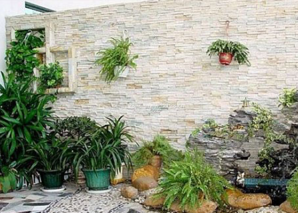室內(nèi)植物