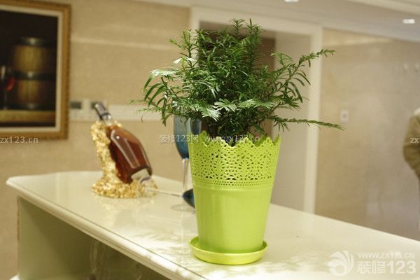 植物除甲醛