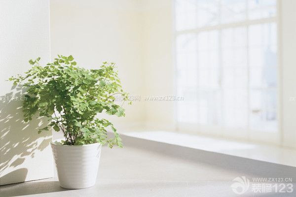 新房裝修如何除甲醛